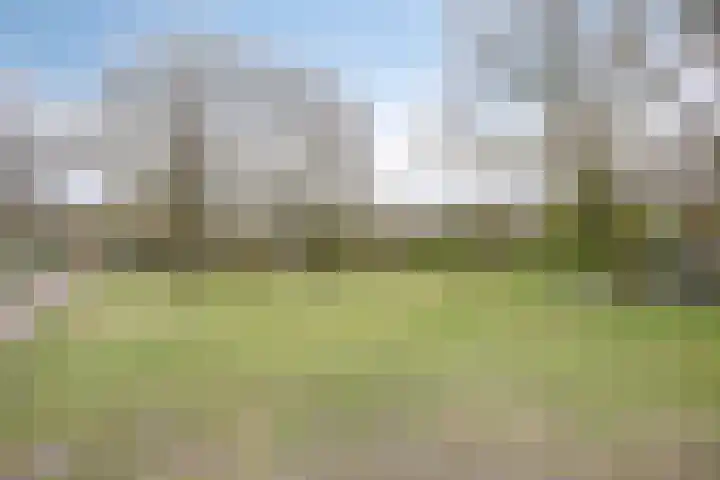 Hulsthof 25 Appelscha thumbnail 33