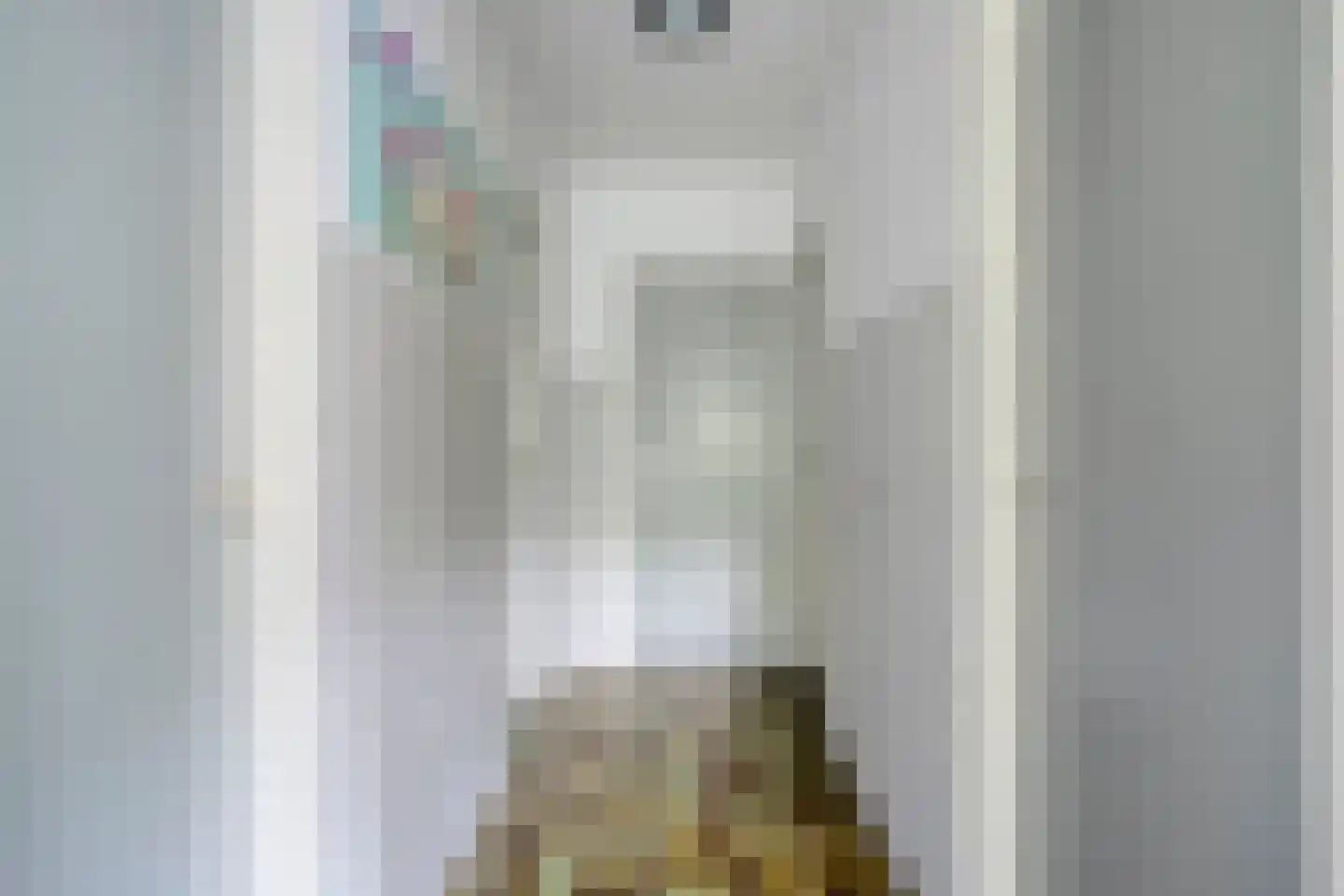 Hulsthof 31 Appelscha thumbnail 22