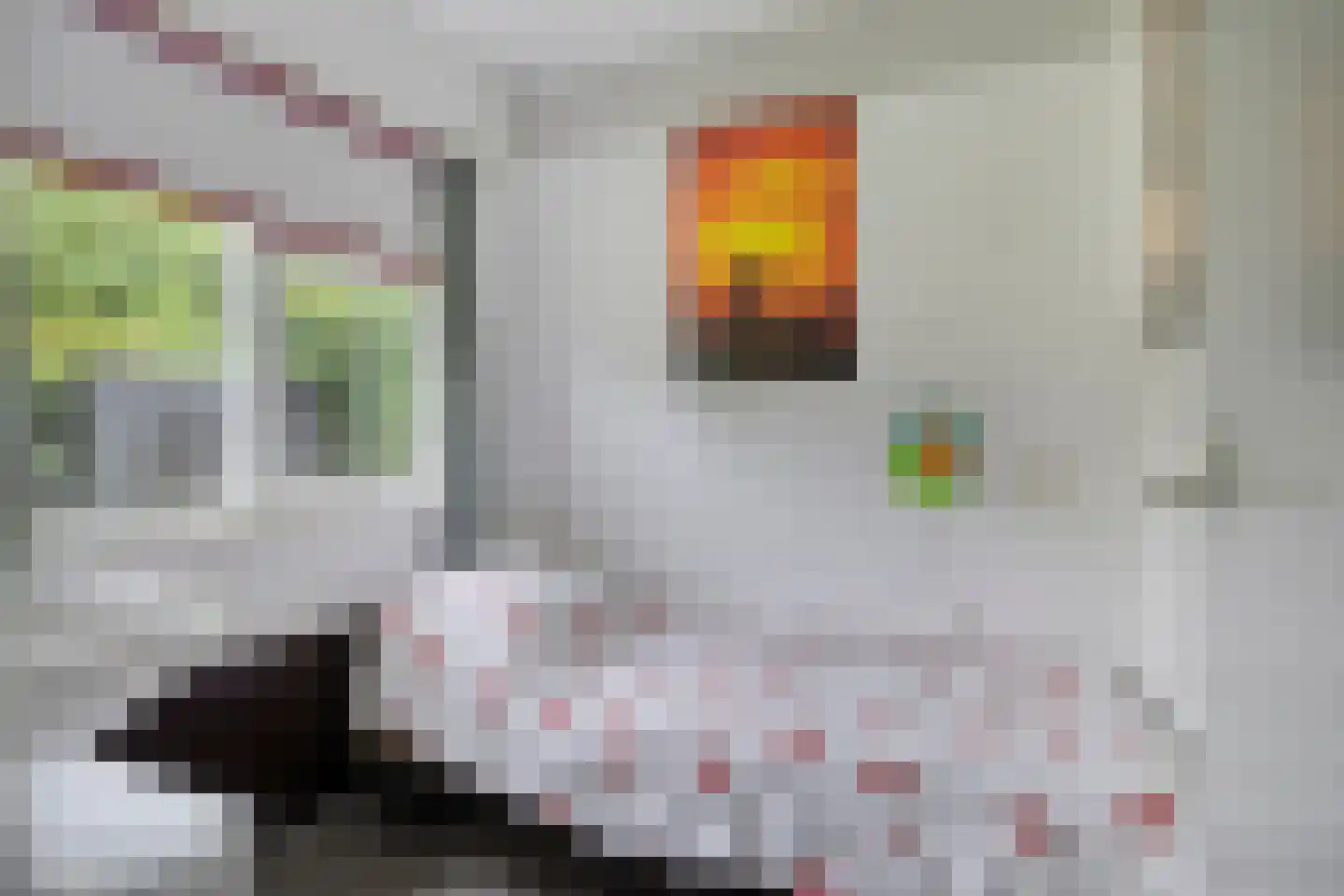 Hulsthof 31 Appelscha thumbnail 28