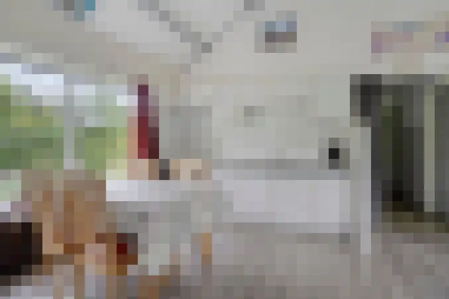 Hulsthof 31 Appelscha foto 3