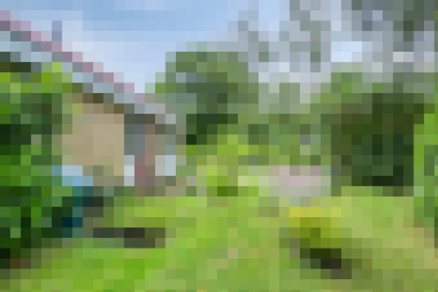 Hulsthof 31 Appelscha thumbnail 32