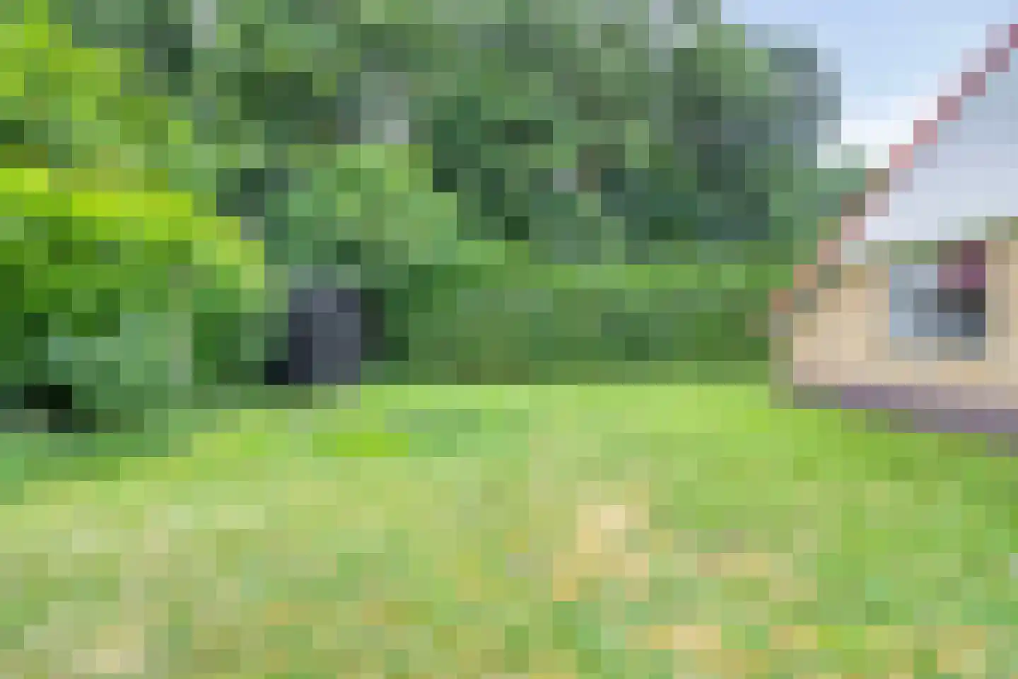 Hulsthof 31 Appelscha thumbnail 33