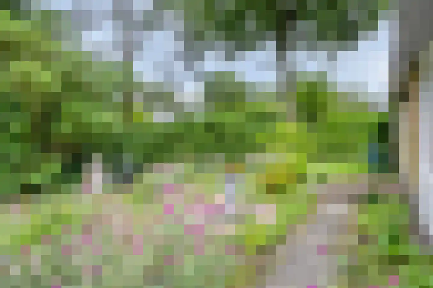 Hulsthof 31 Appelscha thumbnail 36