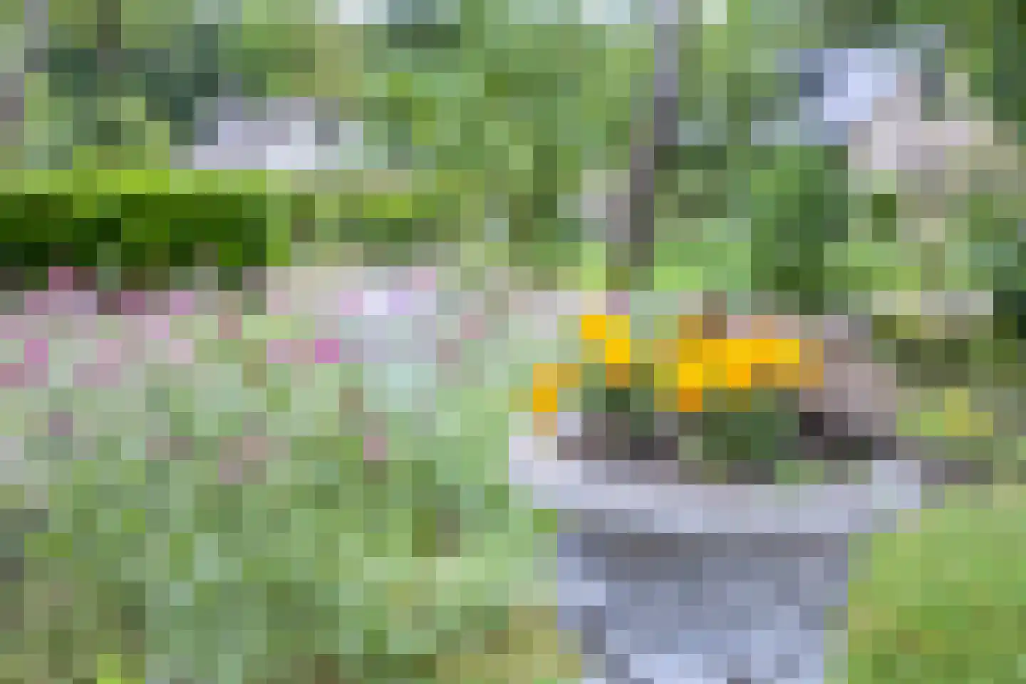 Hulsthof 31 Appelscha thumbnail 37