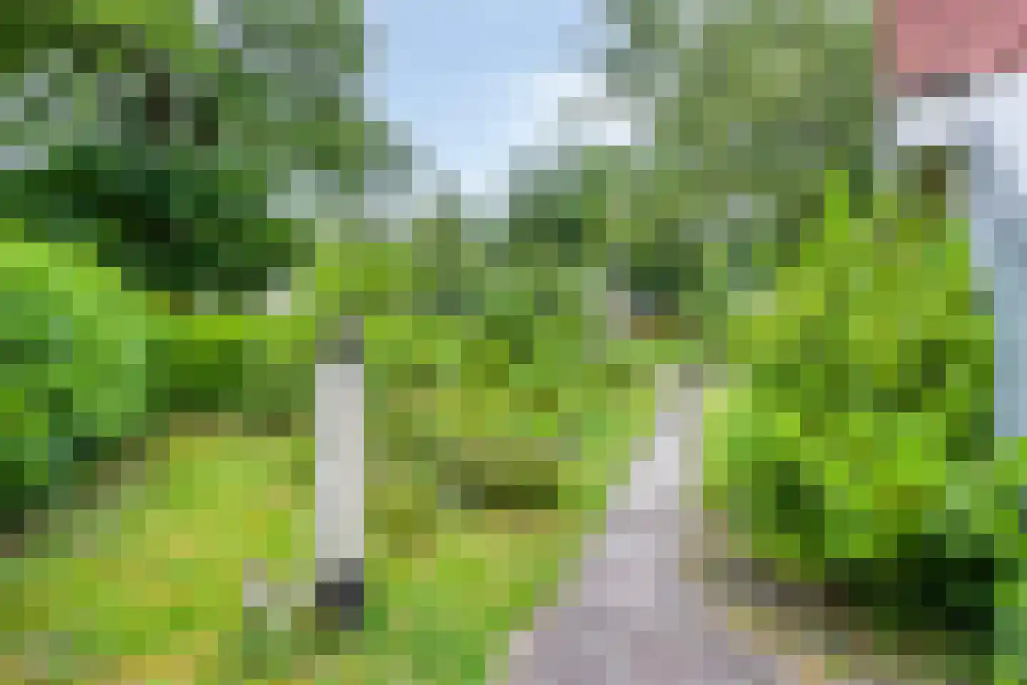 Hulsthof 31 Appelscha thumbnail 38