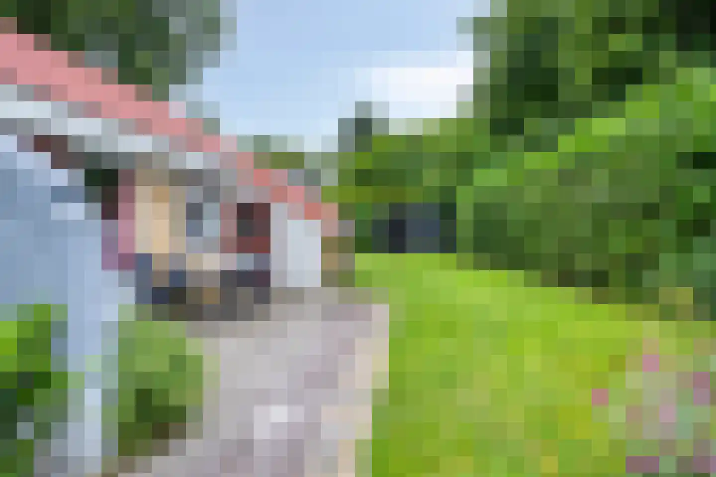 Hulsthof 31 Appelscha thumbnail 4