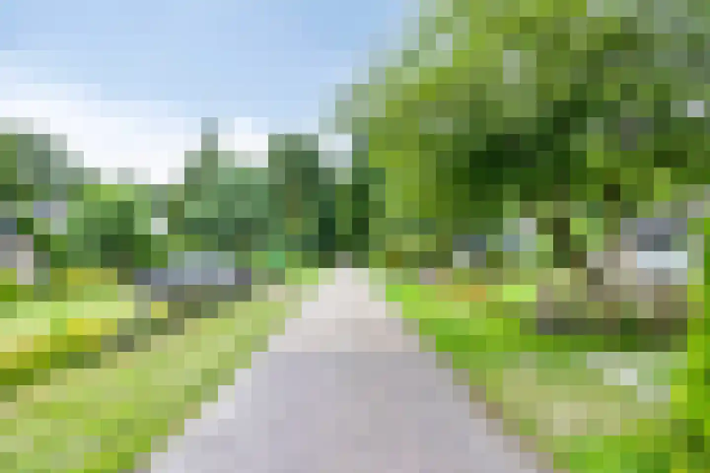 Hulsthof 31 Appelscha thumbnail 41