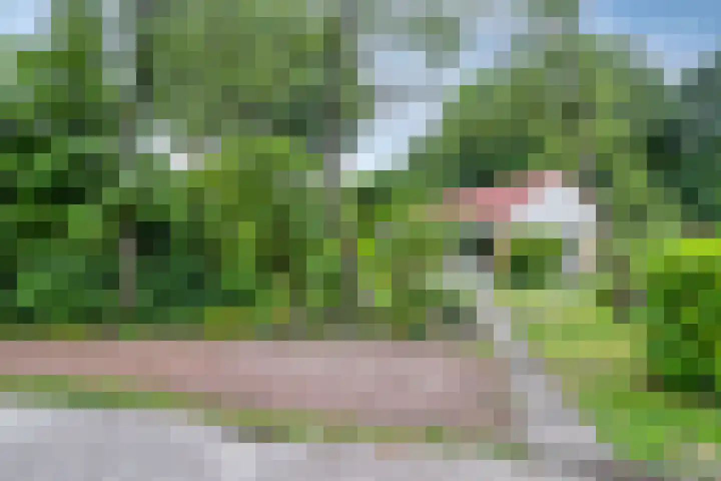 Hulsthof 31 Appelscha thumbnail 6