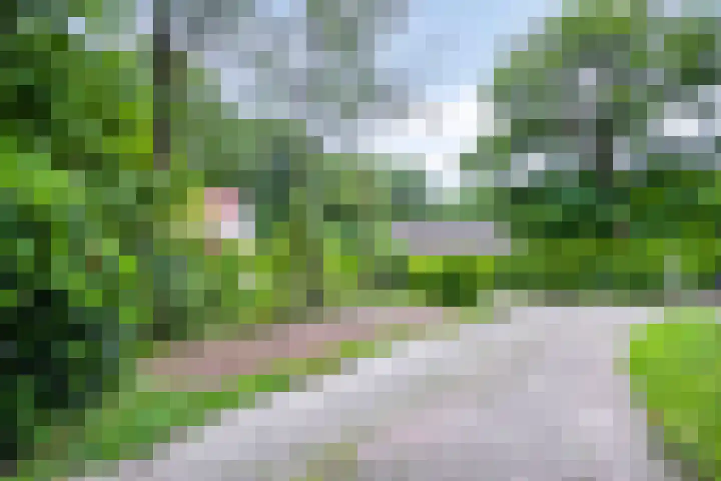 Hulsthof 31 Appelscha thumbnail 7