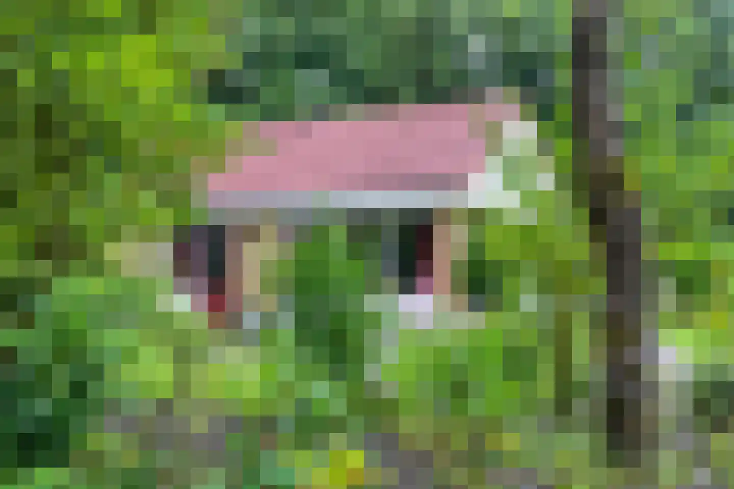 Hulsthof 31 Appelscha thumbnail 8