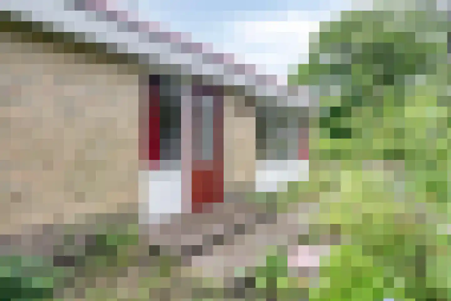 Hulsthof 31 Appelscha thumbnail 9