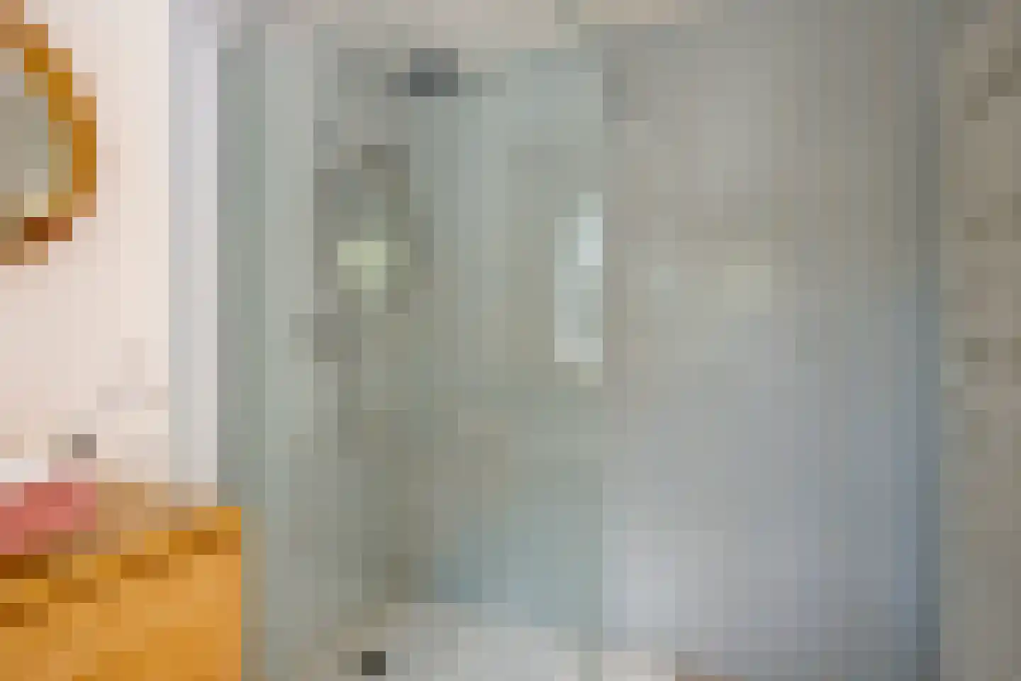 Hulsthof 41 Appelscha thumbnail 17