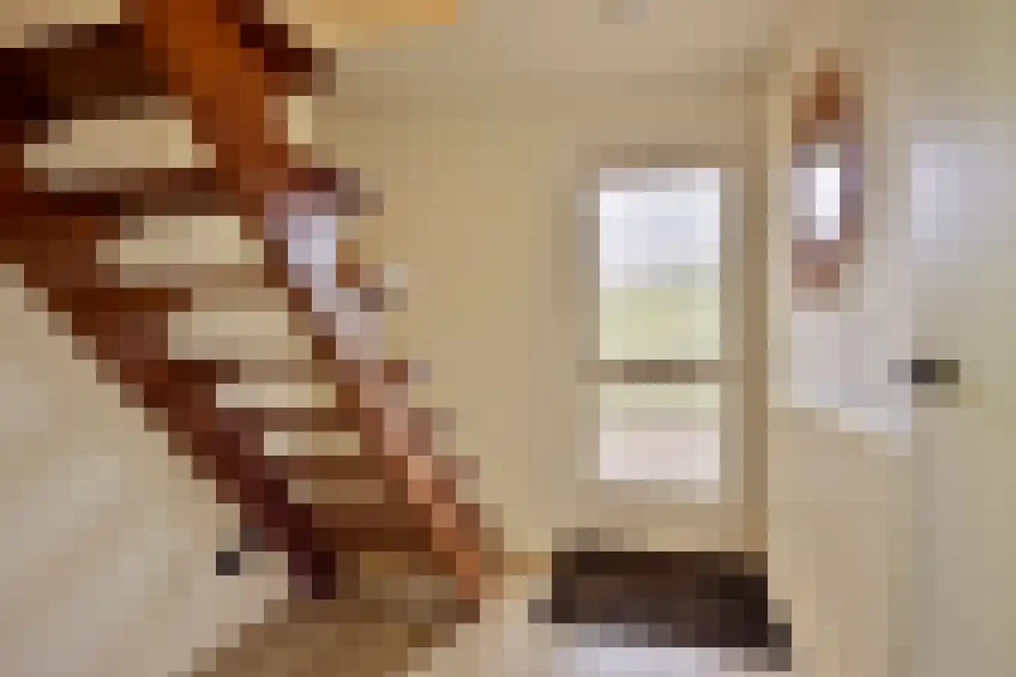Hulsthof 41 Appelscha thumbnail 21
