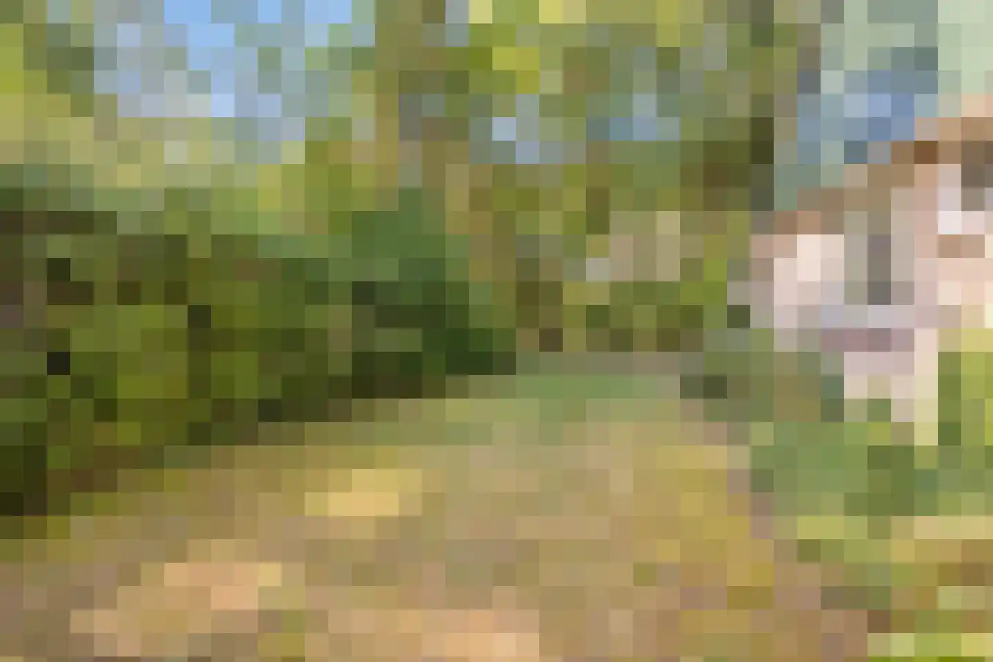 Hulsthof 41 Appelscha thumbnail 26