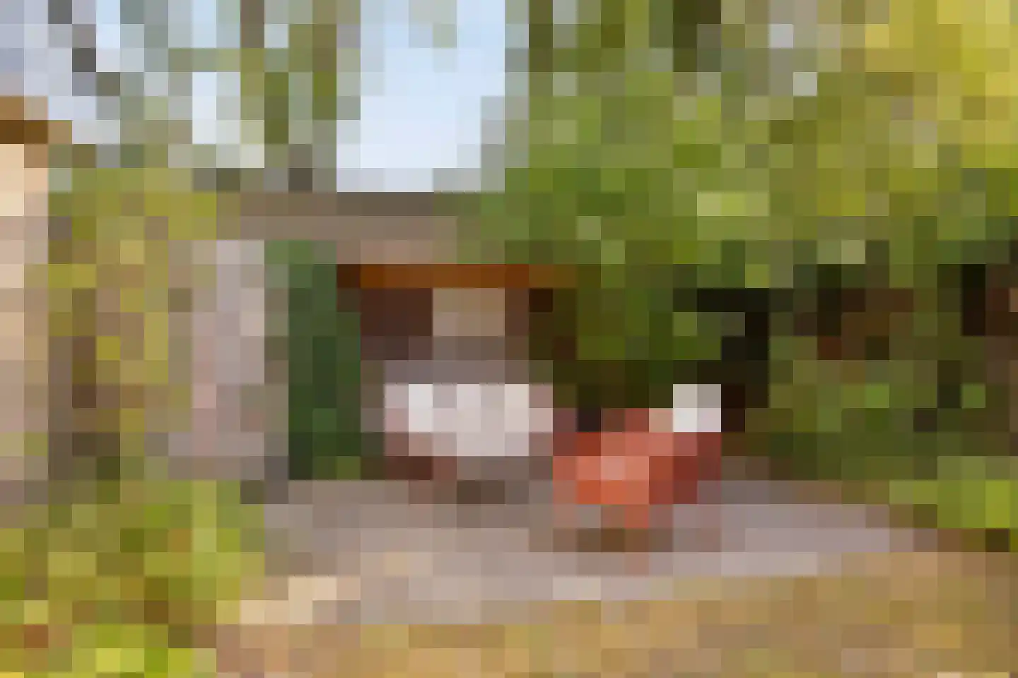 Hulsthof 41 Appelscha thumbnail 27