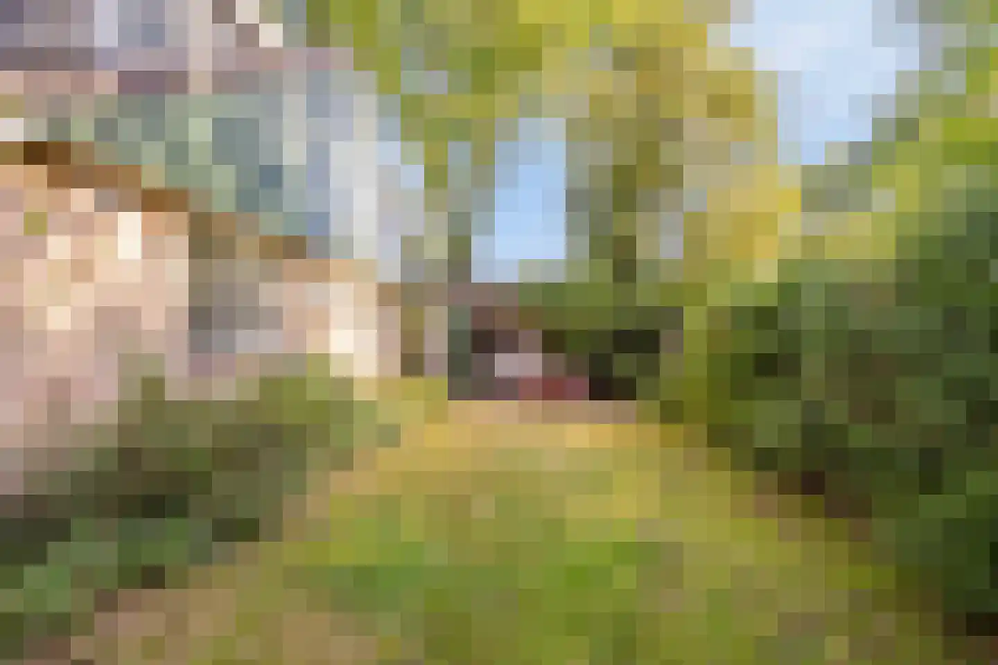 Hulsthof 41 Appelscha thumbnail 28