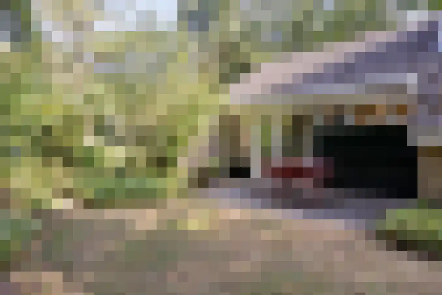 Hulsthof 41 Appelscha thumbnail 31