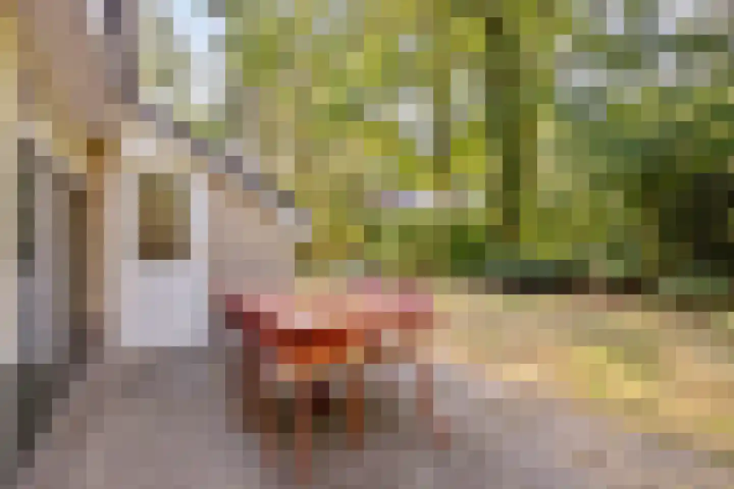 Hulsthof 41 Appelscha thumbnail 32