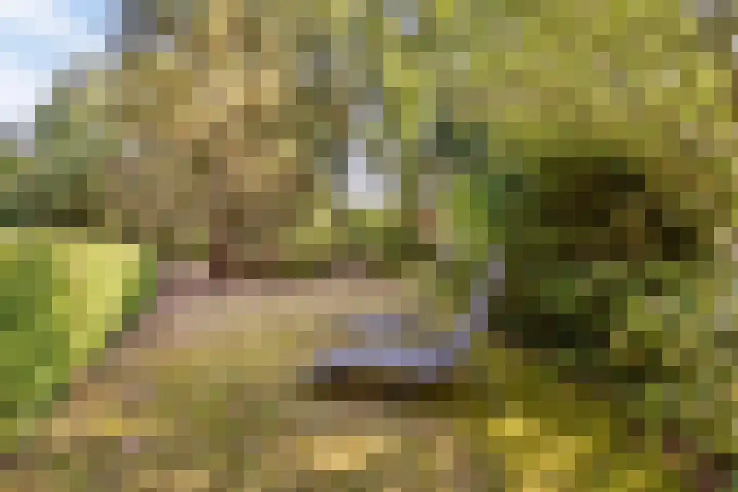 Hulsthof 41 Appelscha thumbnail 34