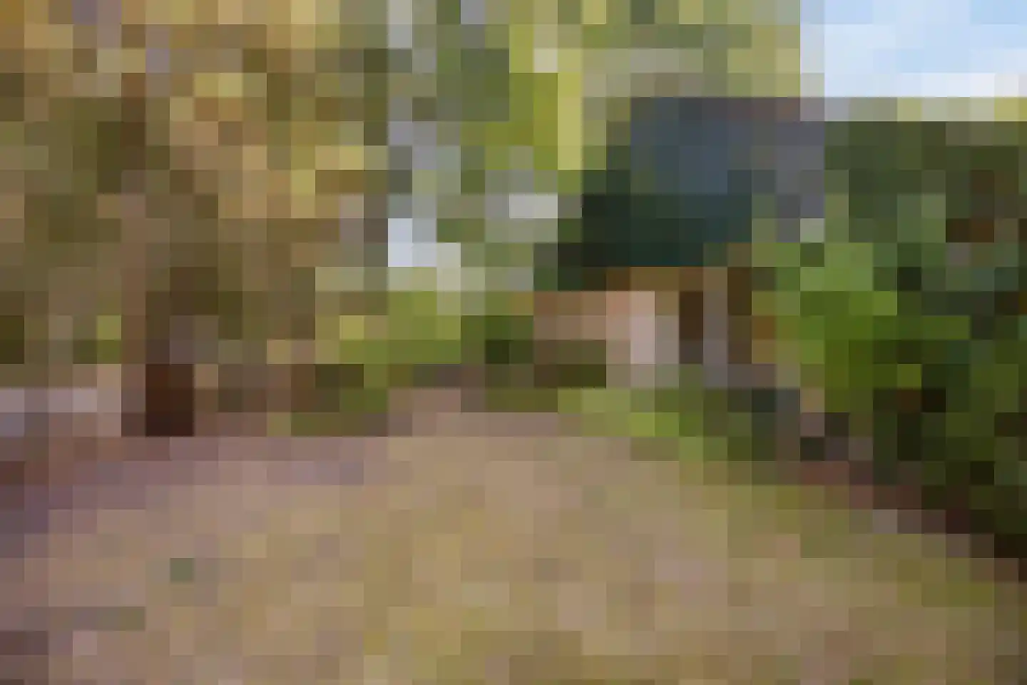 Hulsthof 41 Appelscha thumbnail 35