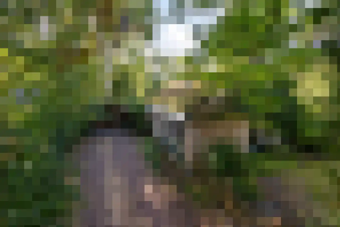 Hulsthof 41 Appelscha thumbnail 36
