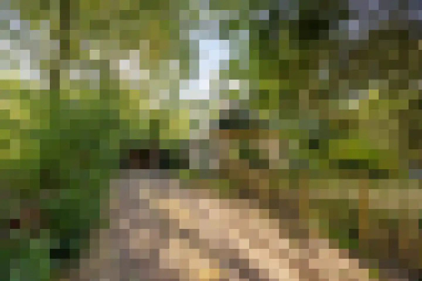 Hulsthof 41 Appelscha thumbnail 37