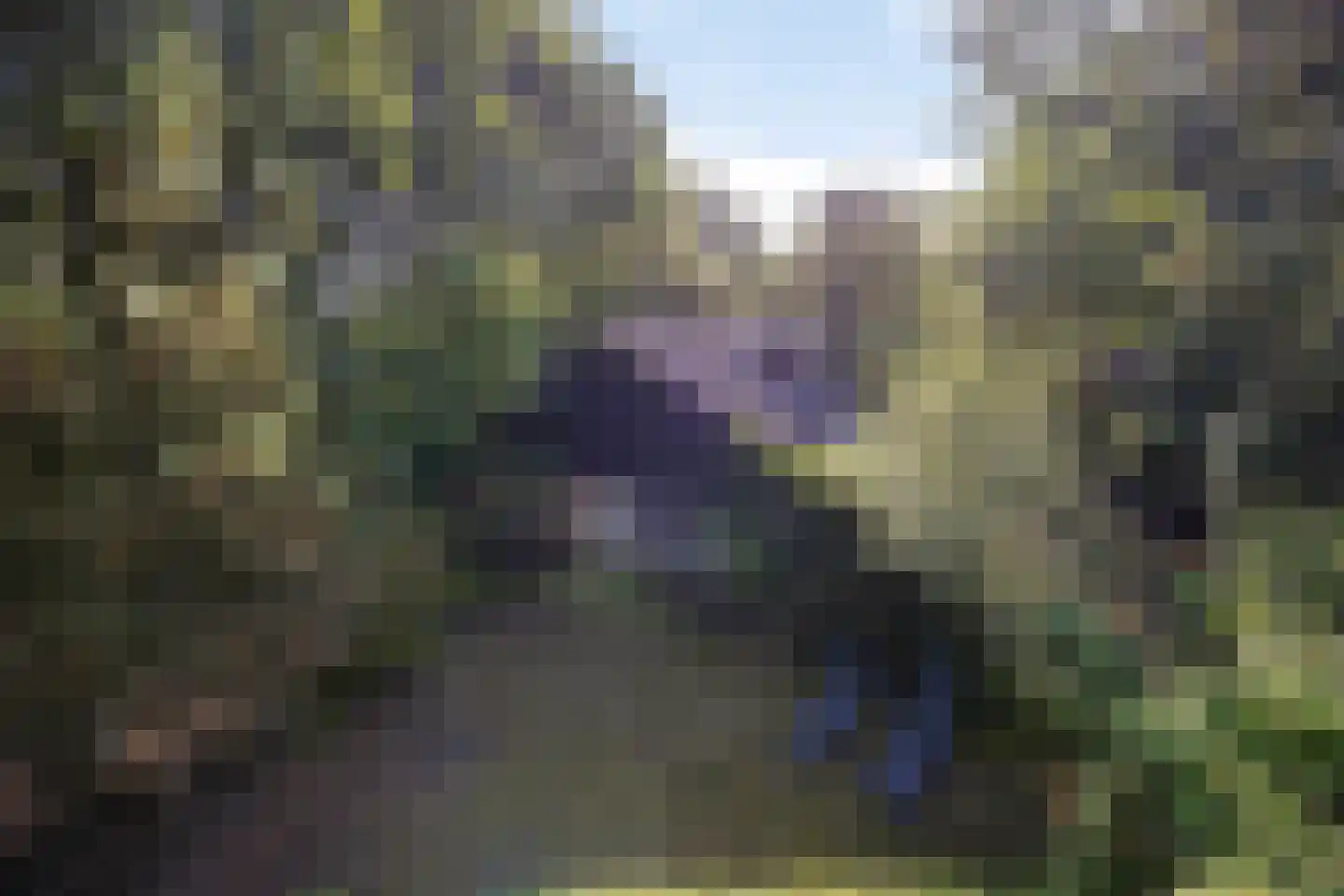 Hulsthof 41 Appelscha thumbnail 39