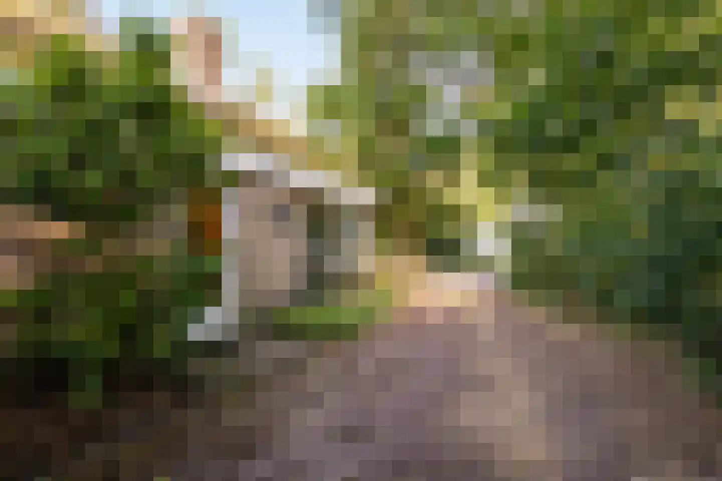 Hulsthof 41 Appelscha thumbnail 41
