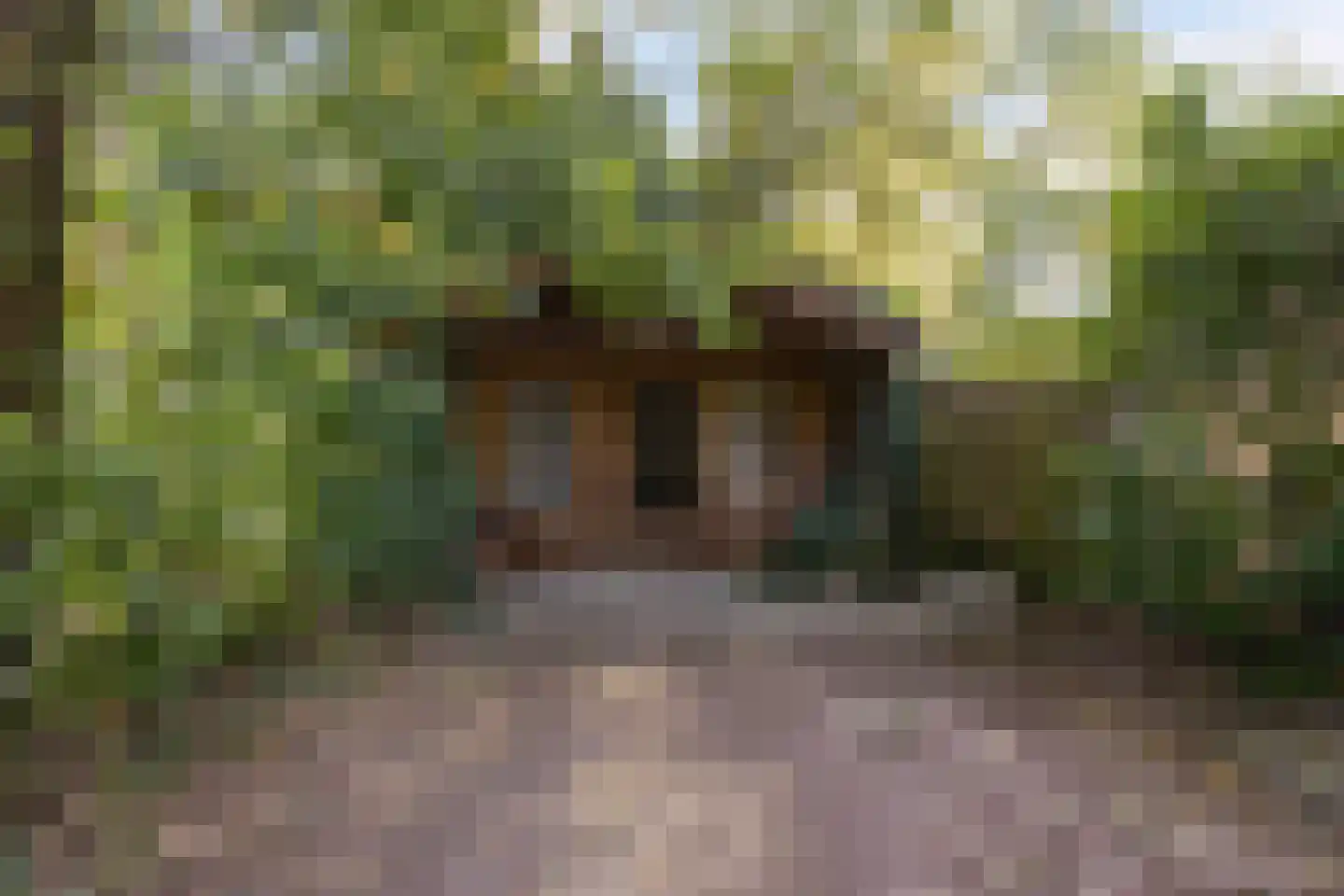 Hulsthof 41 Appelscha thumbnail 42