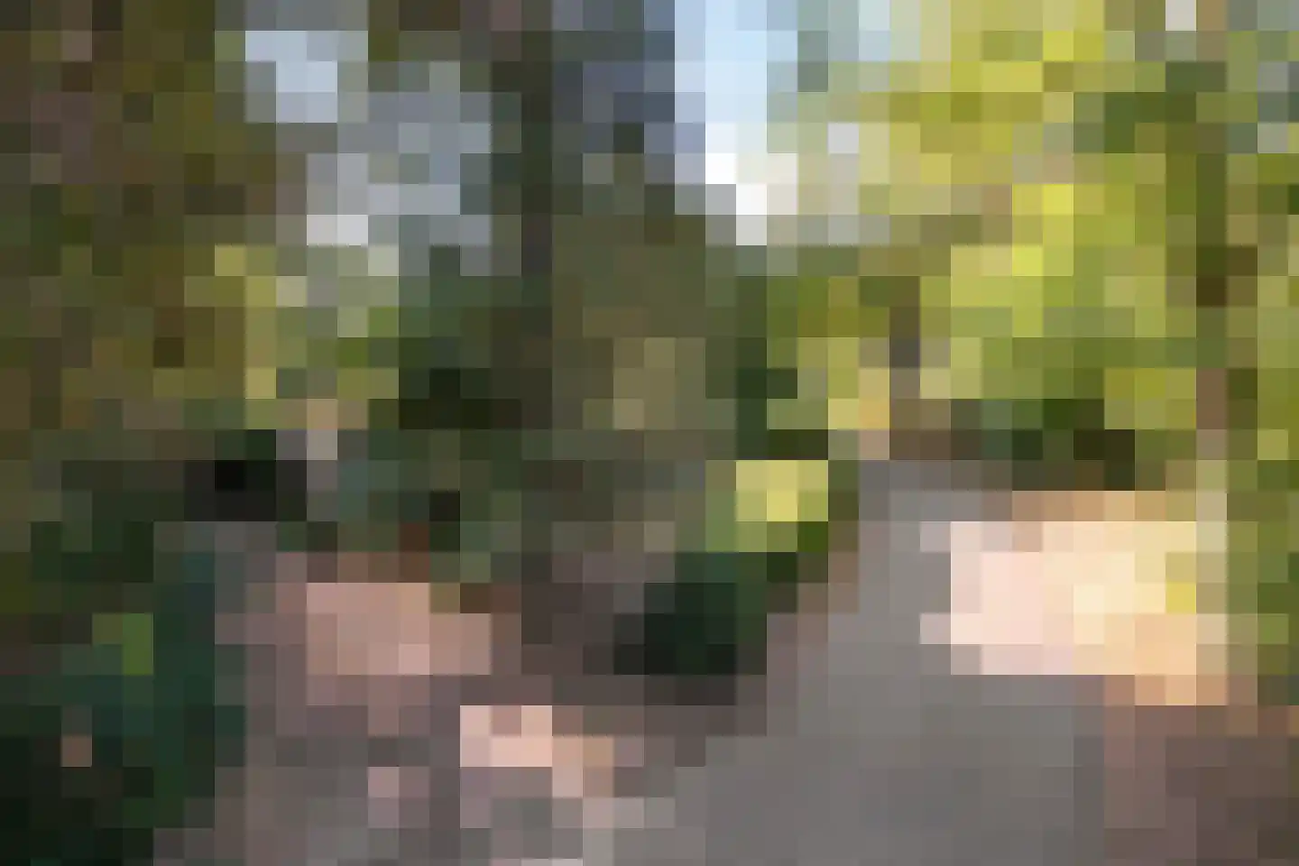 Hulsthof 41 Appelscha thumbnail 44