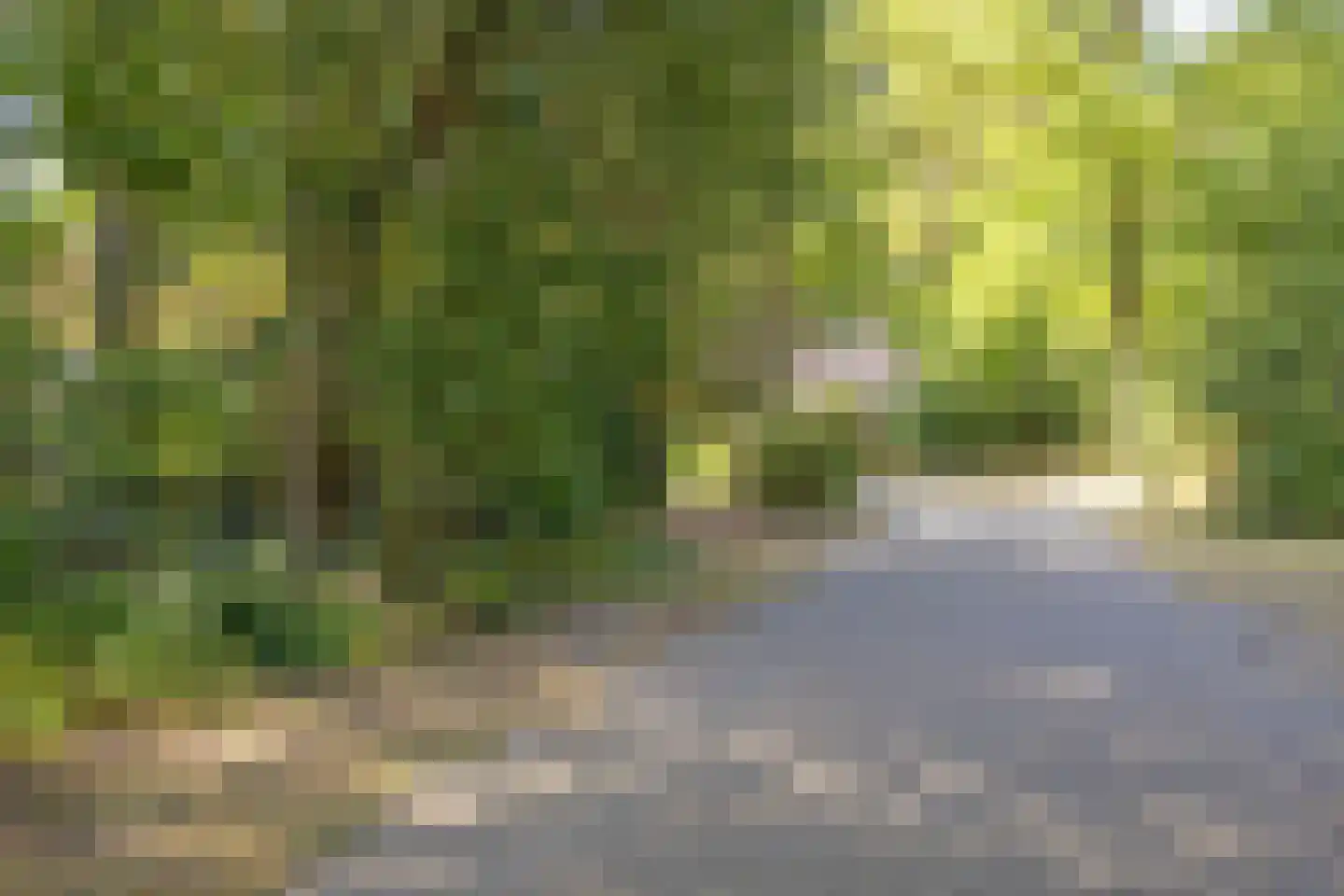 Hulsthof 41 Appelscha thumbnail 45
