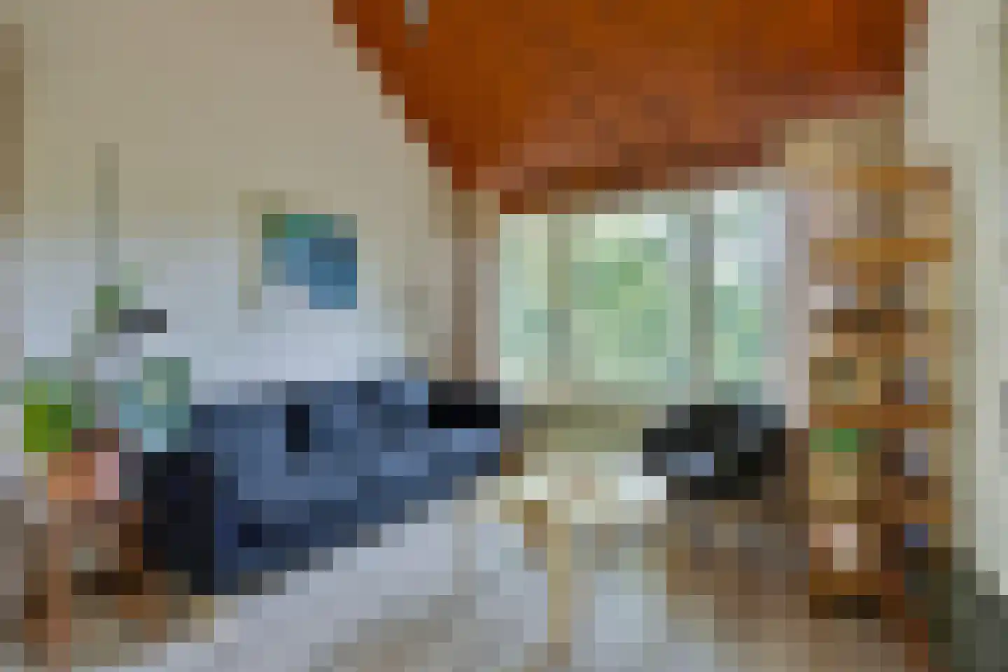 Hulsthof 41 Appelscha thumbnail 5