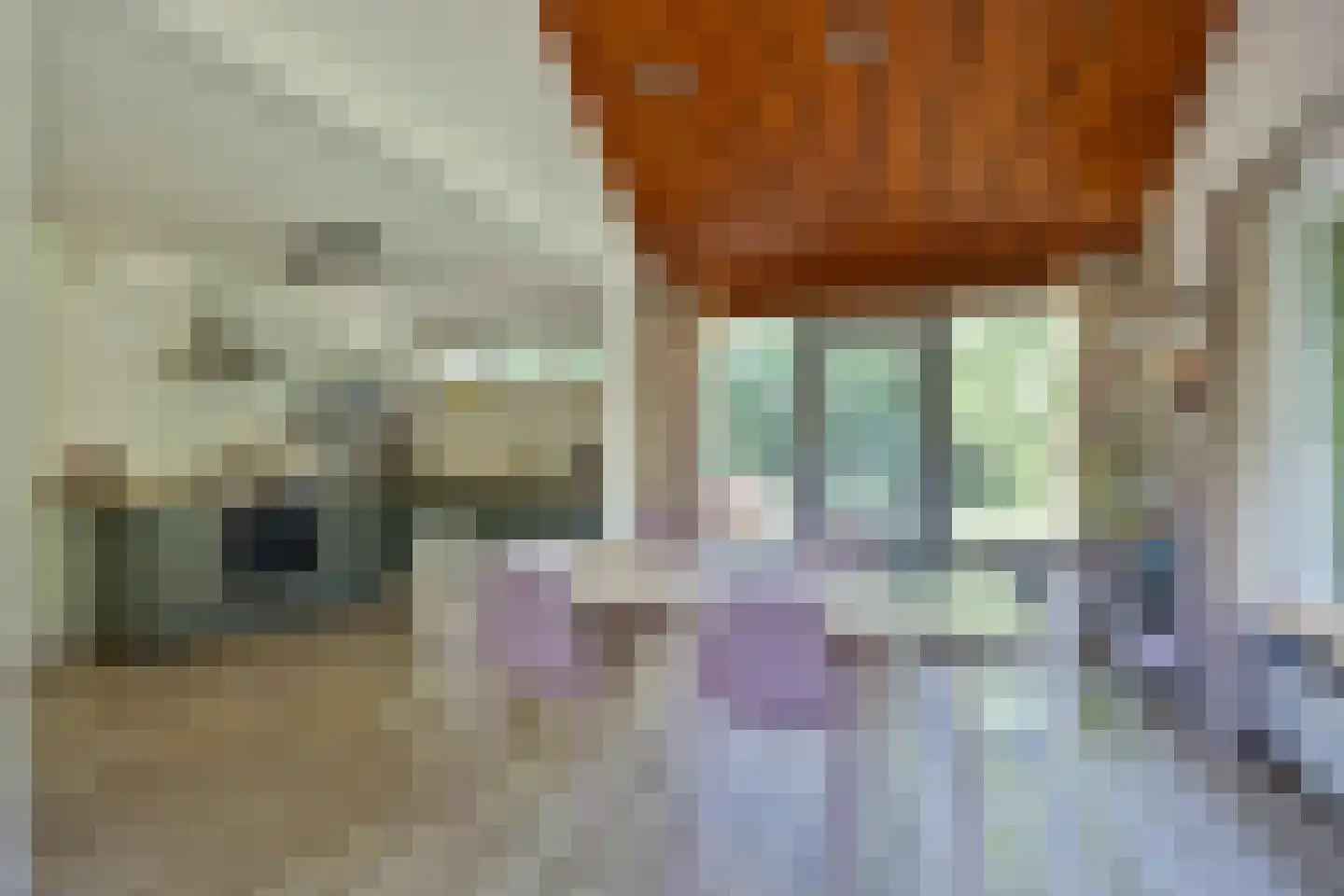 Hulsthof 41 Appelscha thumbnail 8