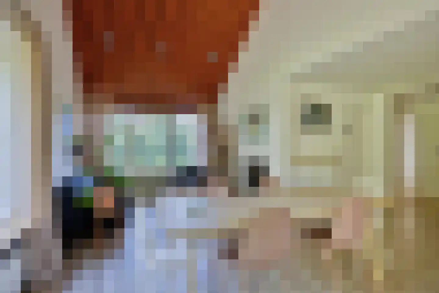 Hulsthof 41 Appelscha thumbnail 9