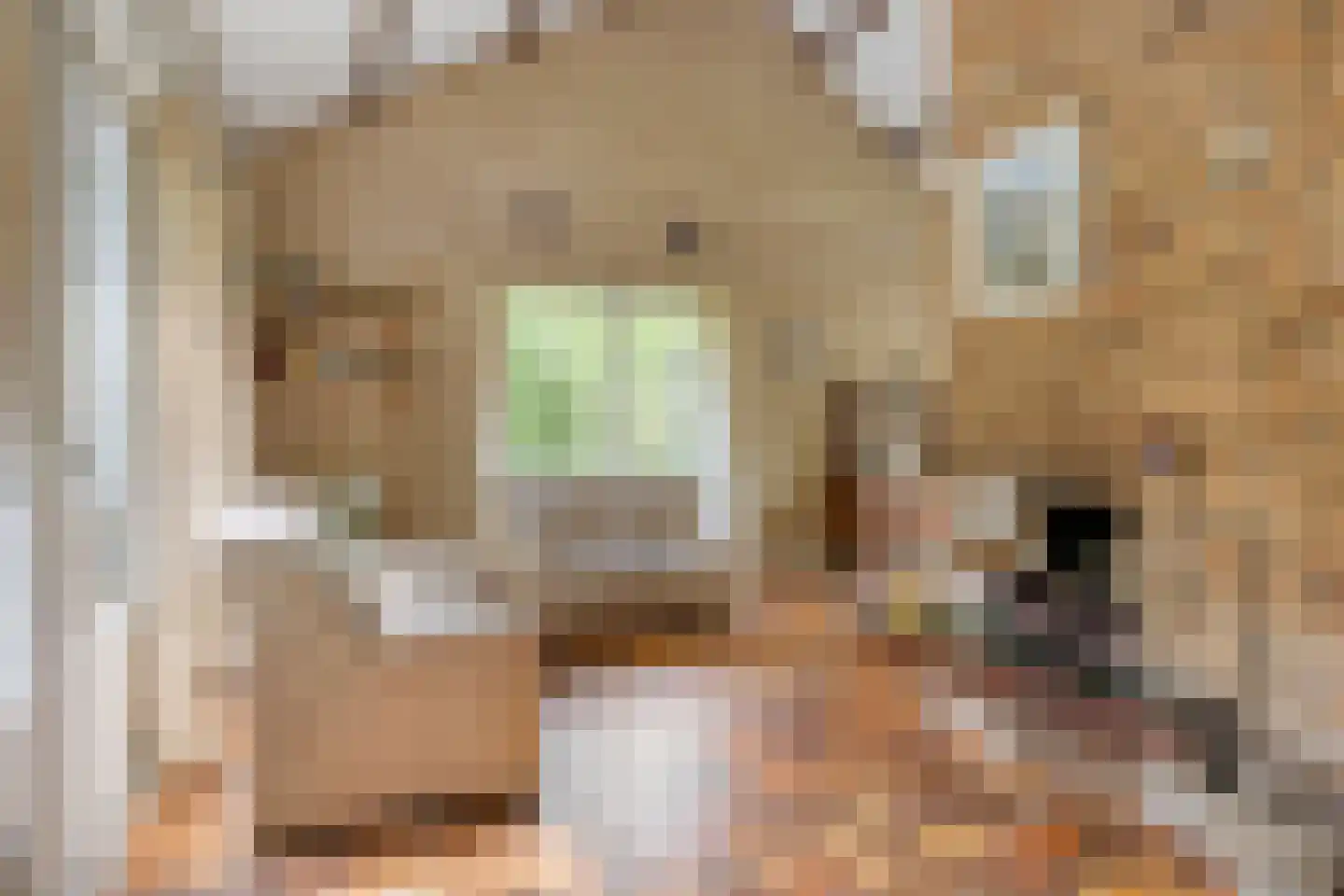 Hulsthof 60 Appelscha thumbnail 10