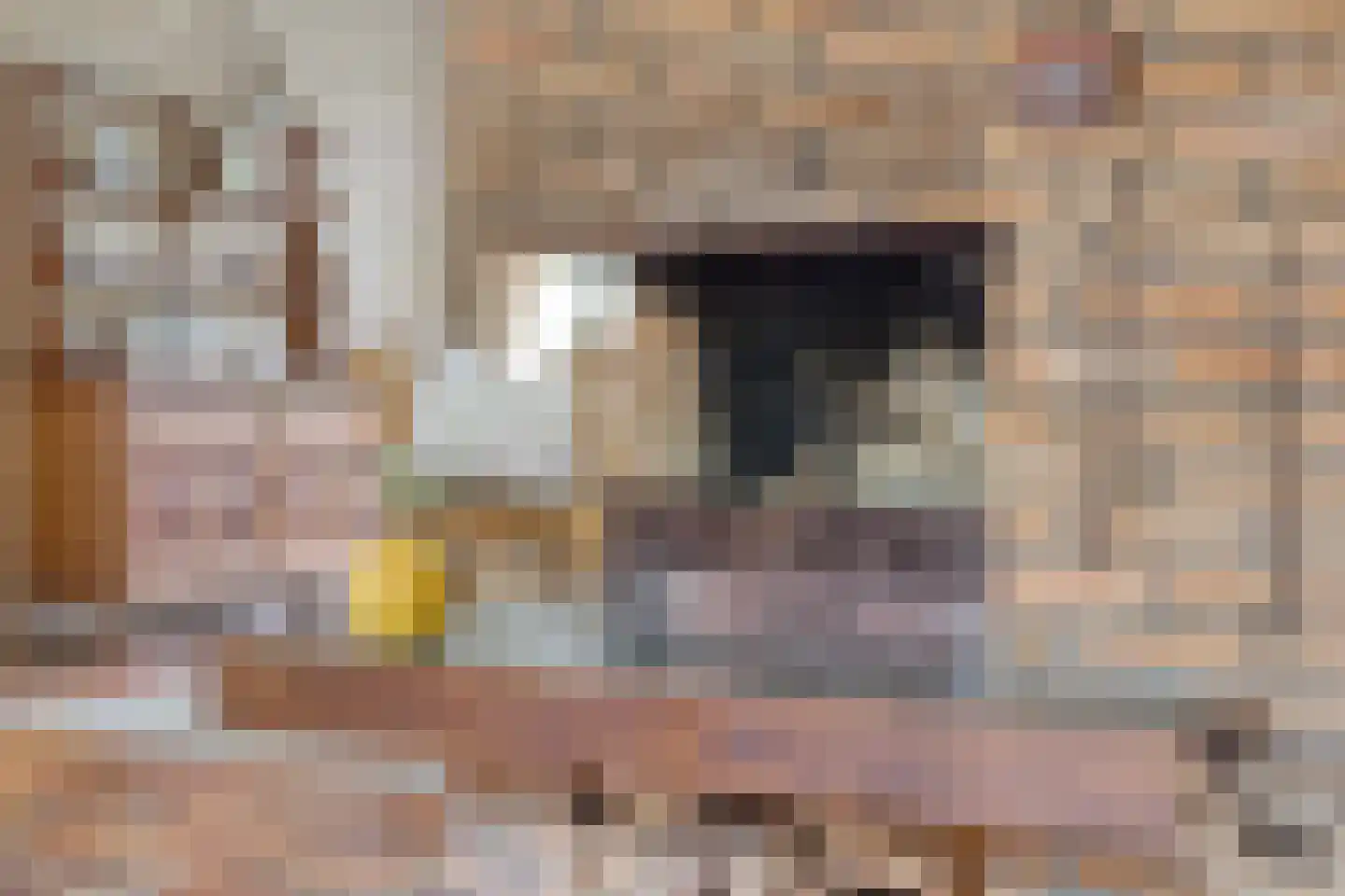 Hulsthof 60 Appelscha thumbnail 11