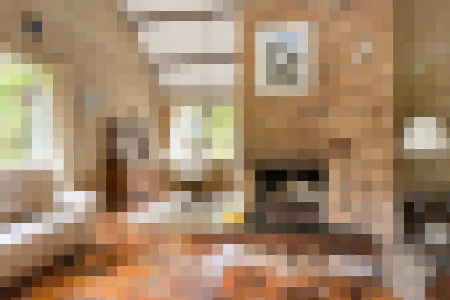 Hulsthof 60 Appelscha thumbnail 12