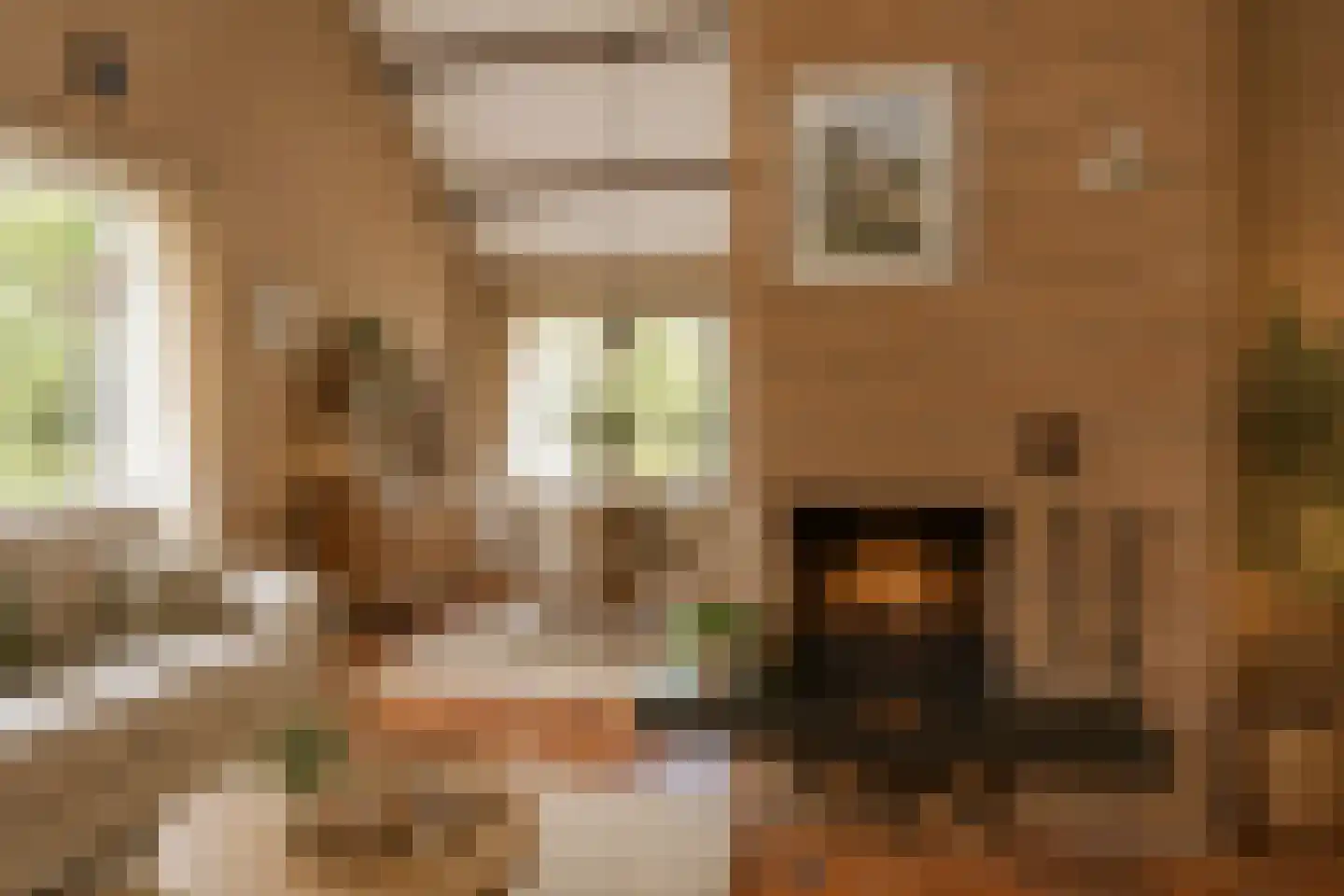 Hulsthof 60 Appelscha thumbnail 13