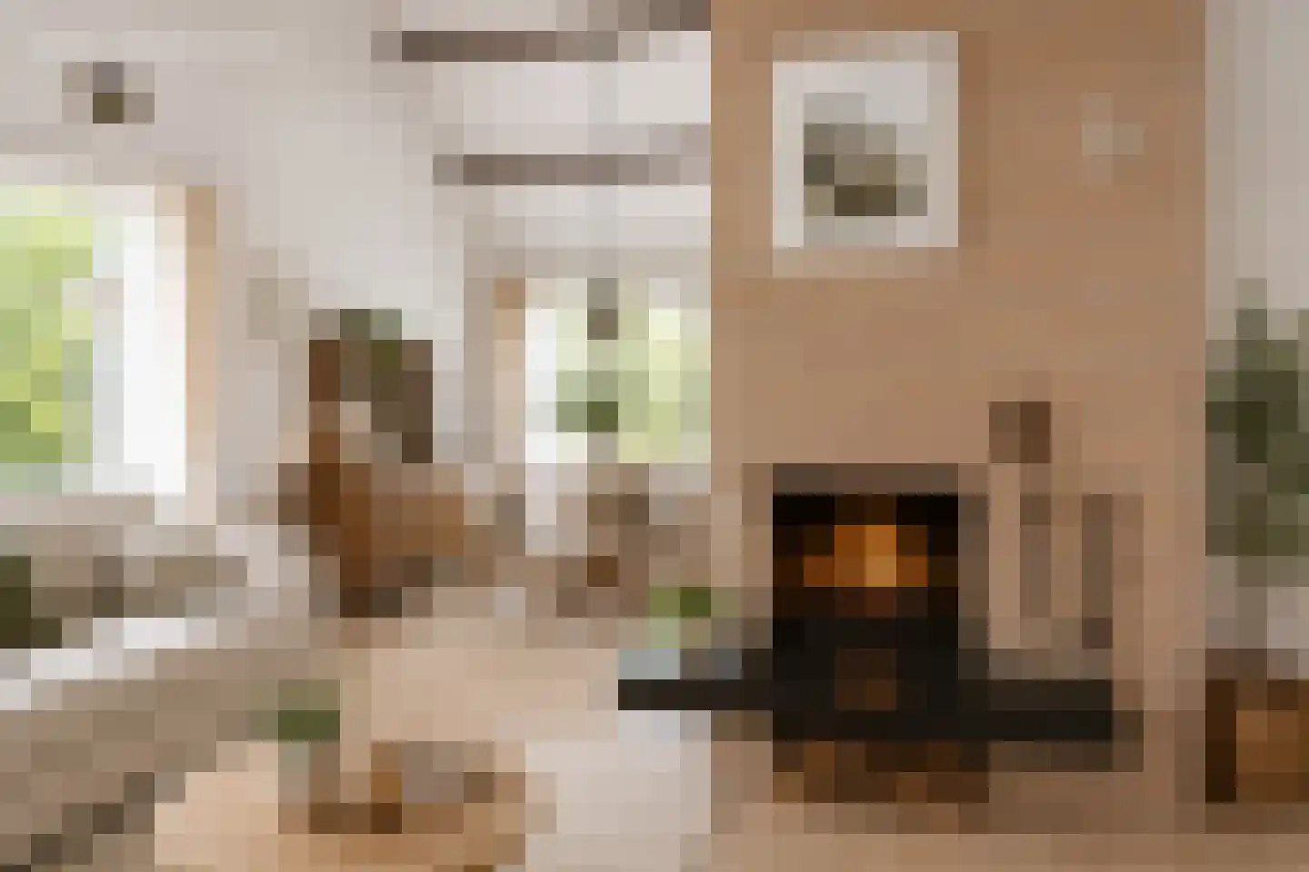 Hulsthof 60 Appelscha thumbnail 14