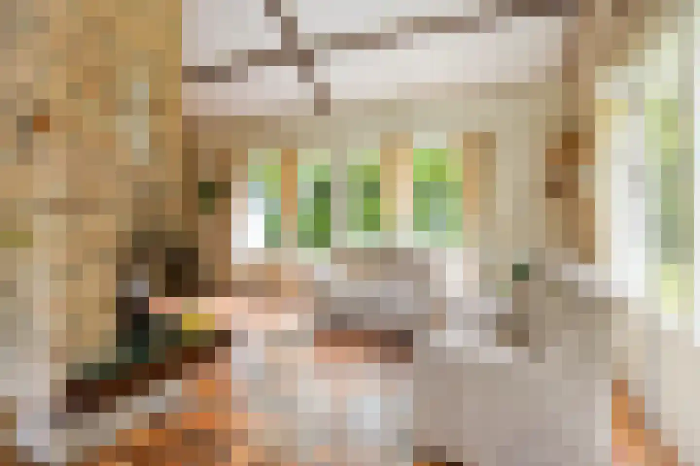 Hulsthof 60 Appelscha thumbnail 15