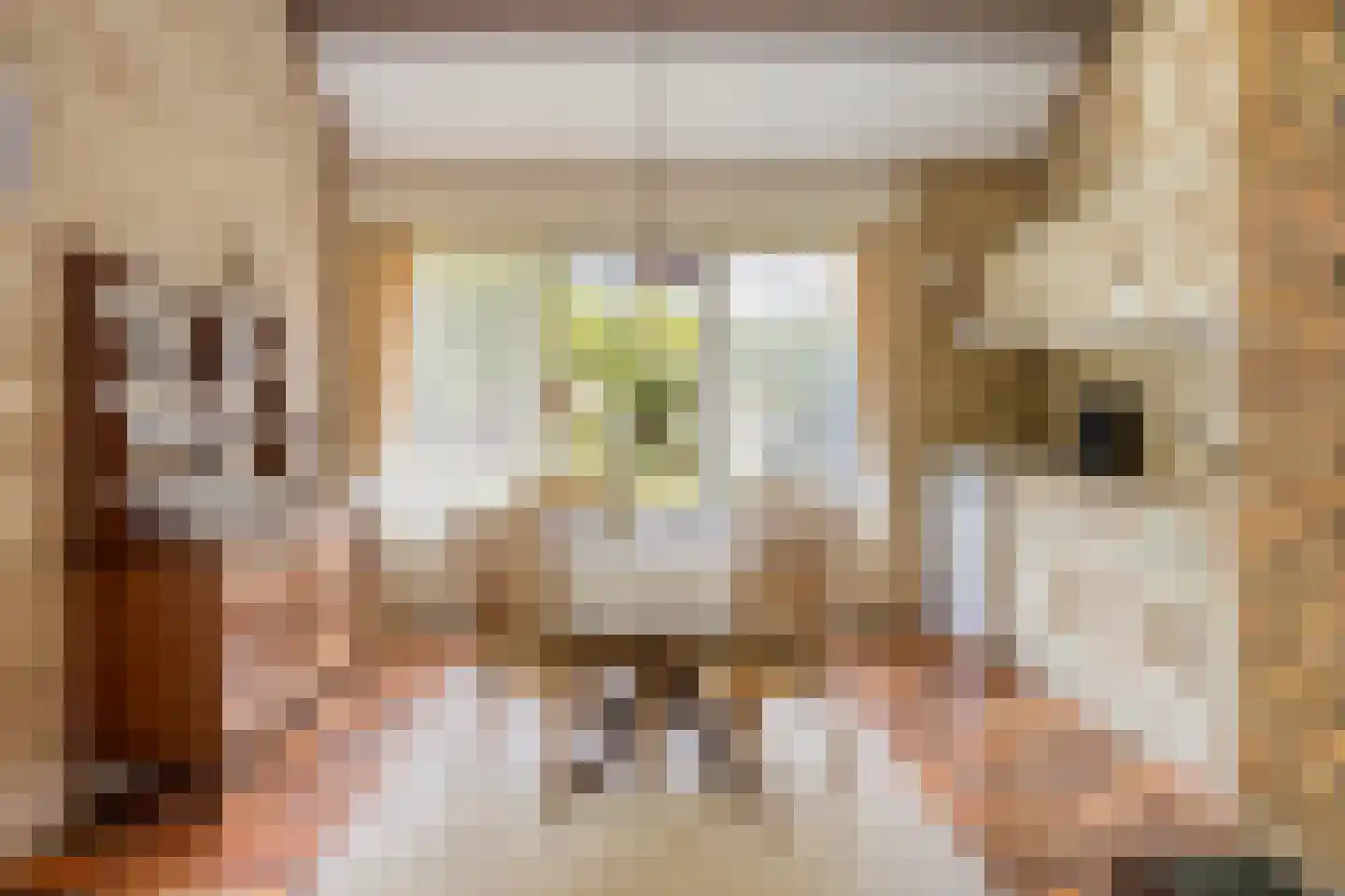 Hulsthof 60 Appelscha thumbnail 16