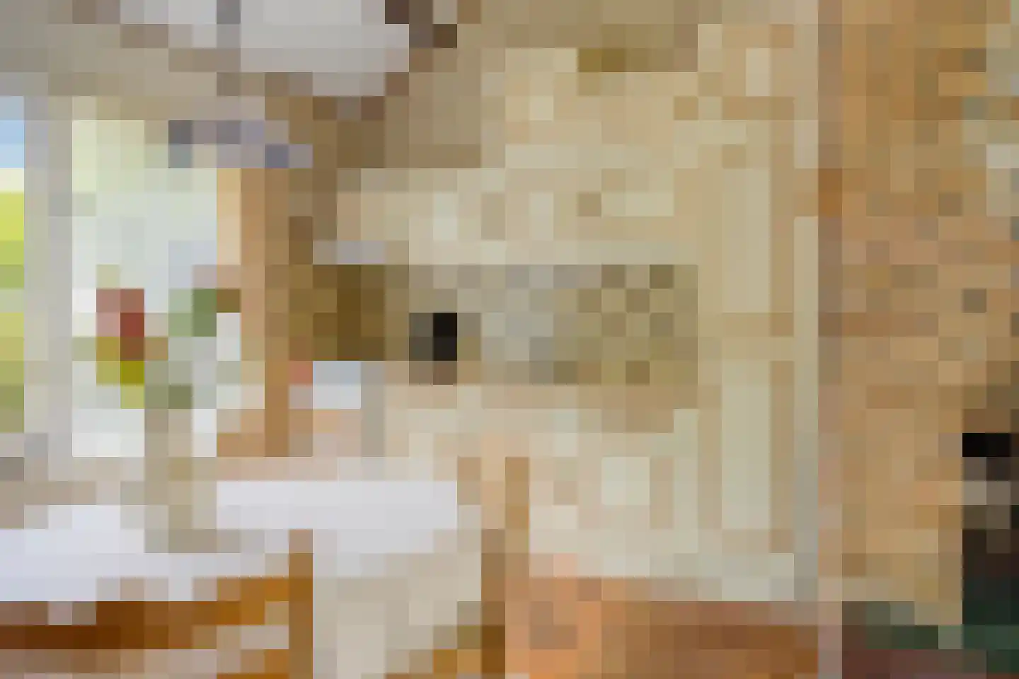 Hulsthof 60 Appelscha thumbnail 18