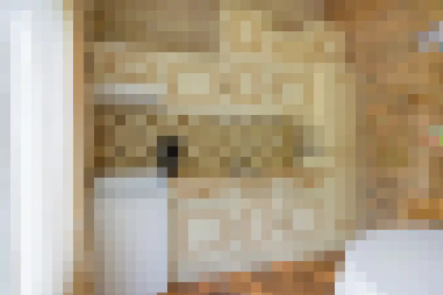 Hulsthof 60 Appelscha thumbnail 19