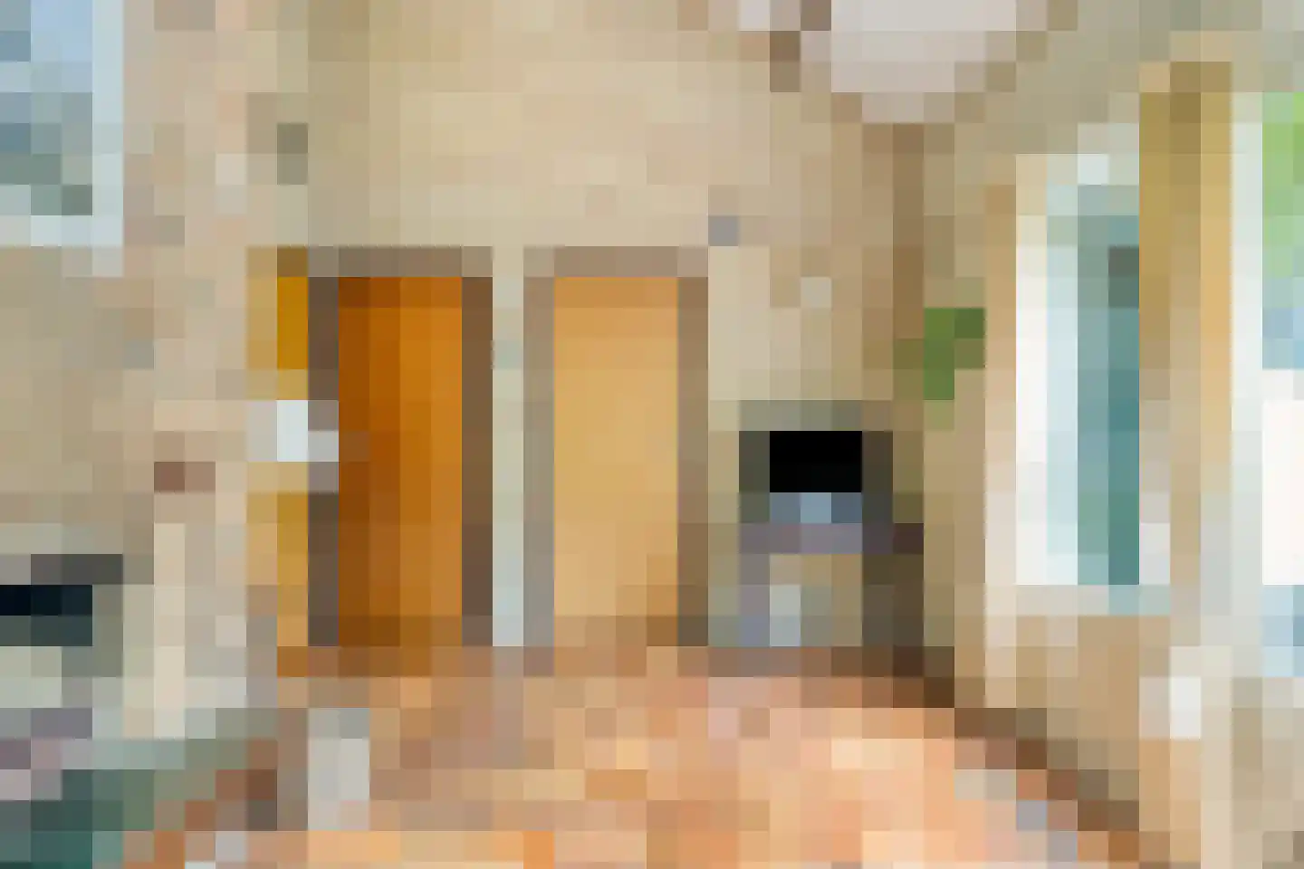 Hulsthof 60 Appelscha thumbnail 20