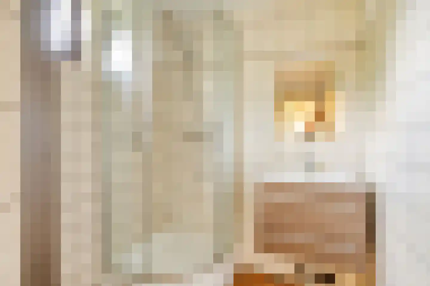 Hulsthof 60 Appelscha thumbnail 25