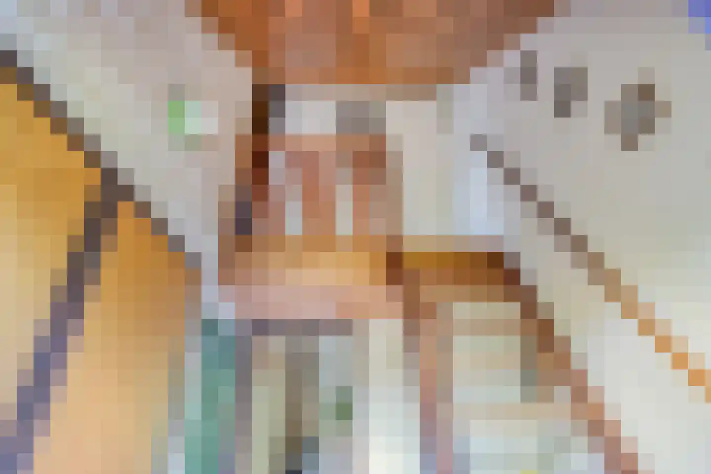 Hulsthof 60 Appelscha thumbnail 27