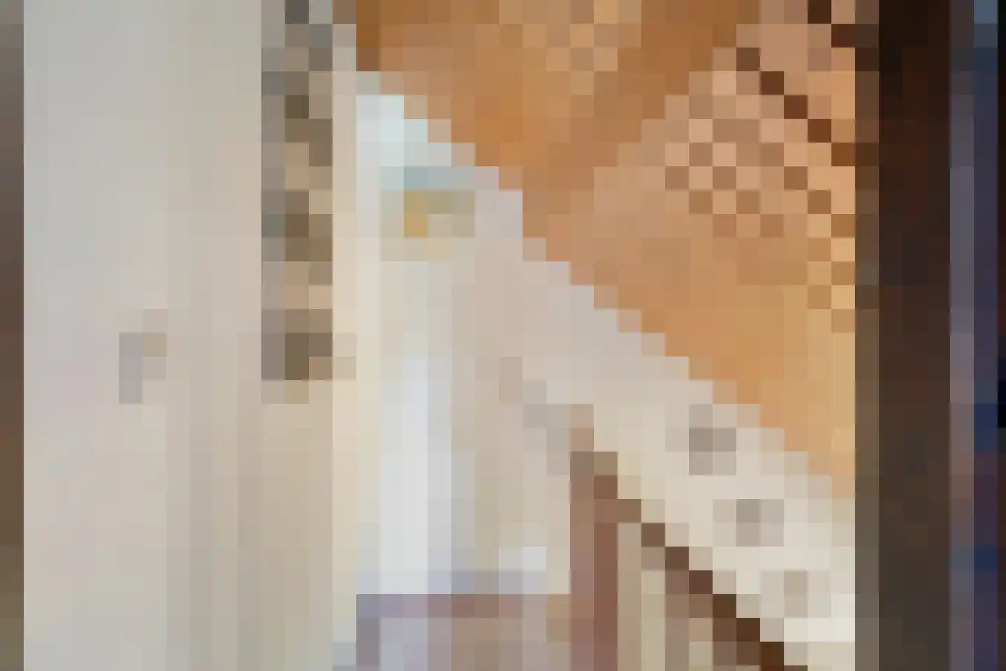 Hulsthof 60 Appelscha thumbnail 29