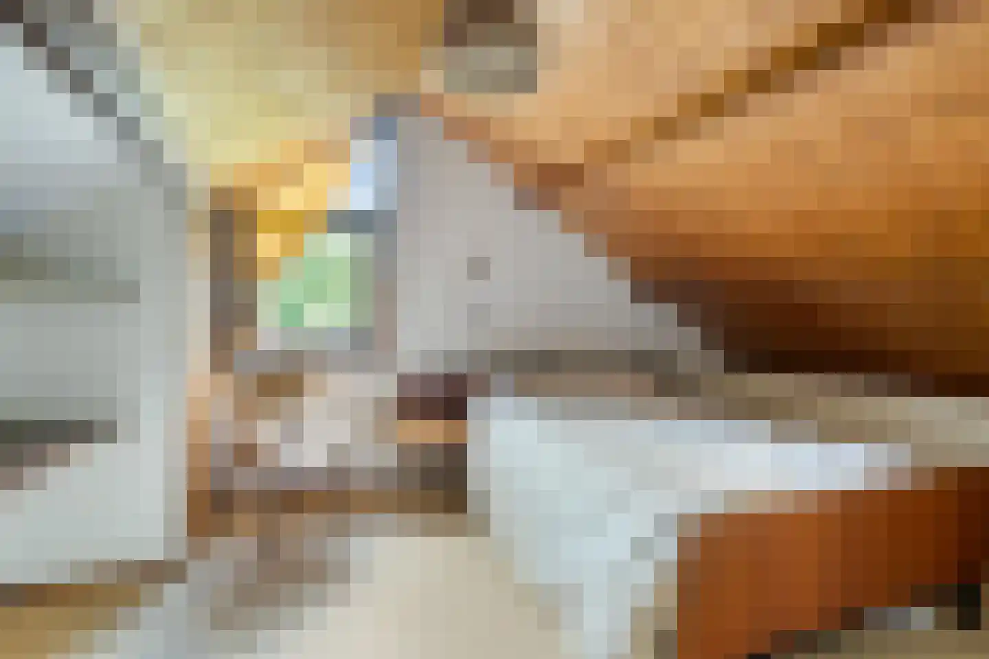 Hulsthof 60 Appelscha thumbnail 30