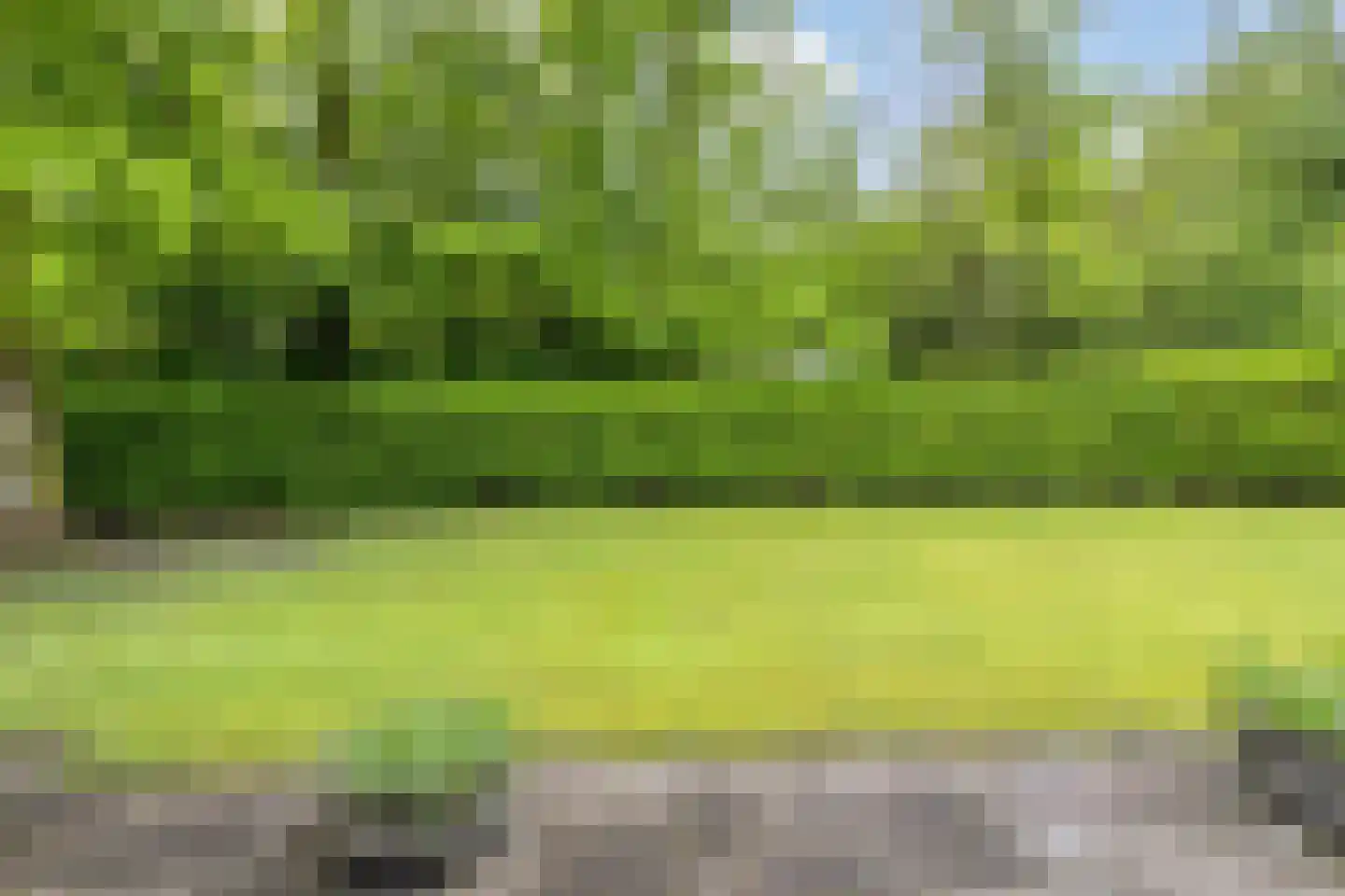 Hulsthof 60 Appelscha thumbnail 33