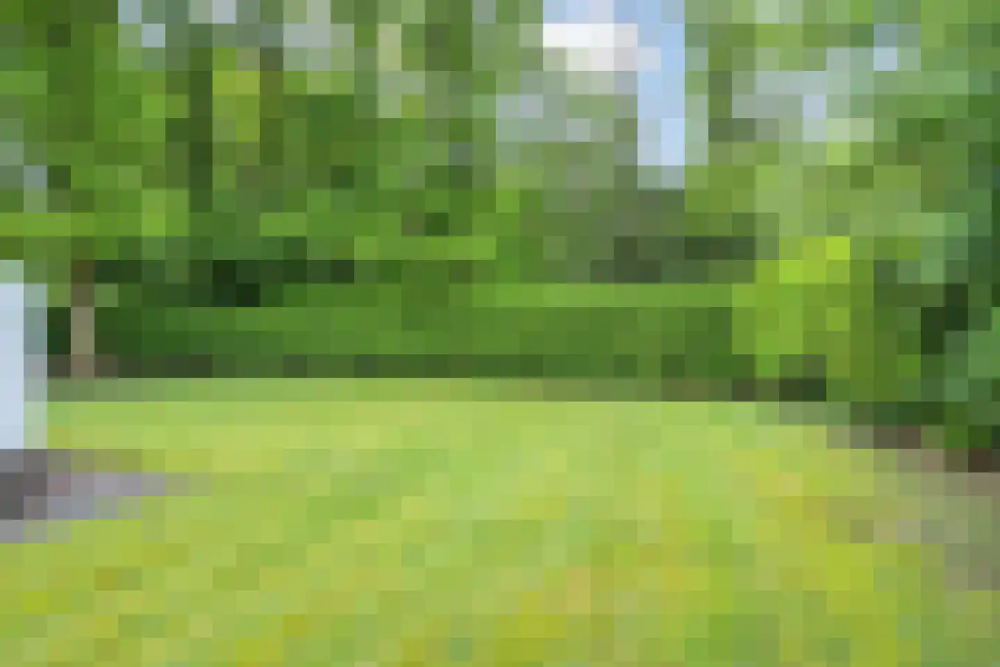 Hulsthof 60 Appelscha thumbnail 36